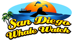 San Diego Whale Watch